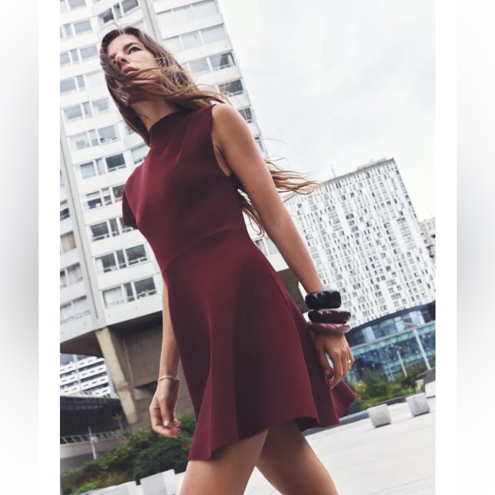 Zara skater knit mini dress
